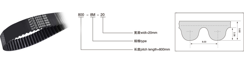 HTD 8M（节距=8mm）