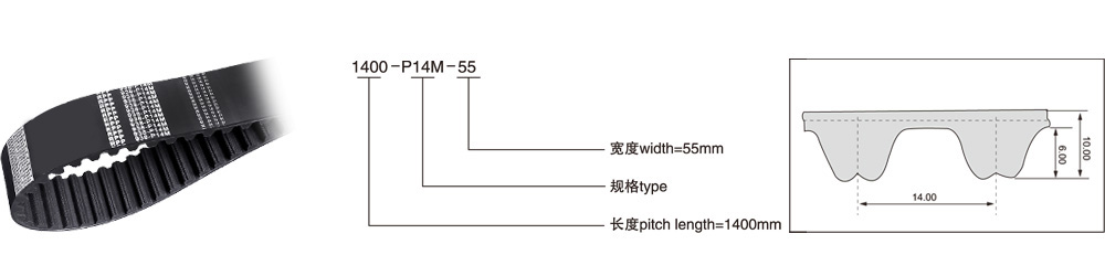 RPP 14M（节距=14mm）