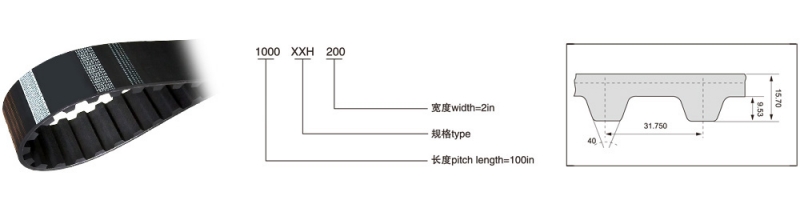 XXH（节距=31.75mm）