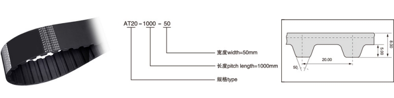 AT20（节距=20mm）