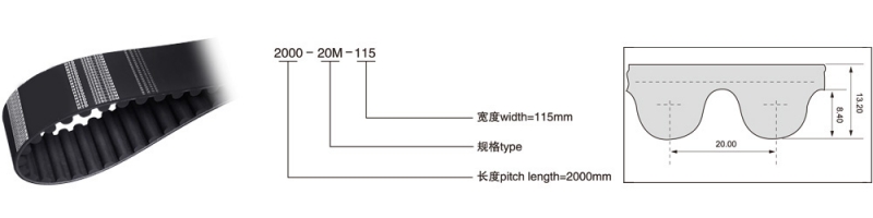 HTD 20M（节距=20mm）