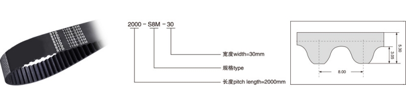 STD 8M（节距=8mm）